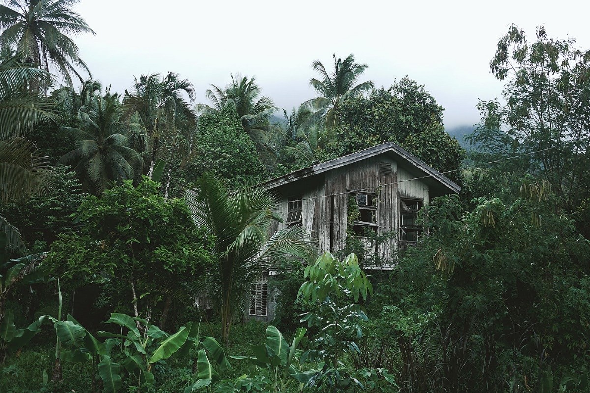 Dilapidated building in the jungle